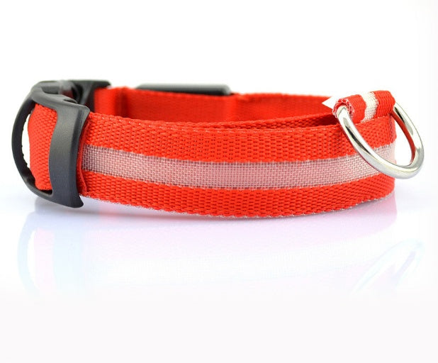 Safety LED Dog Collar