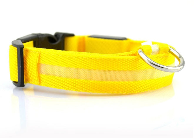 Safety LED Dog Collar