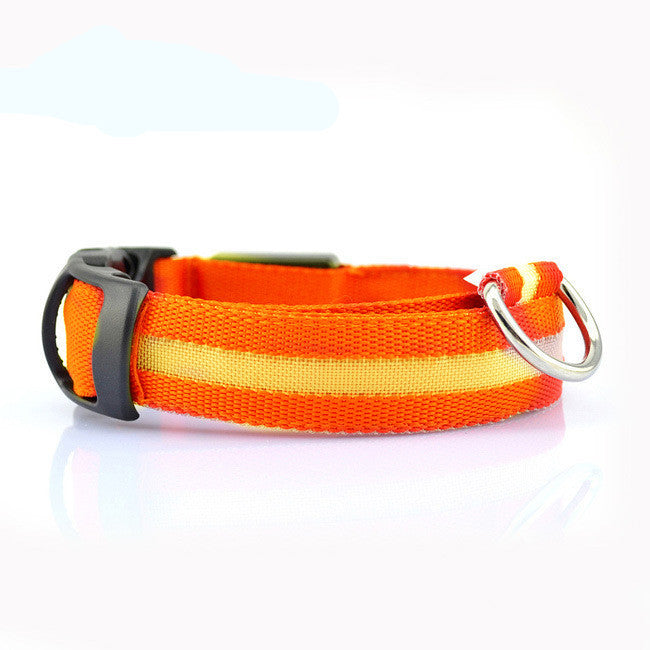 Safety LED Dog Collar