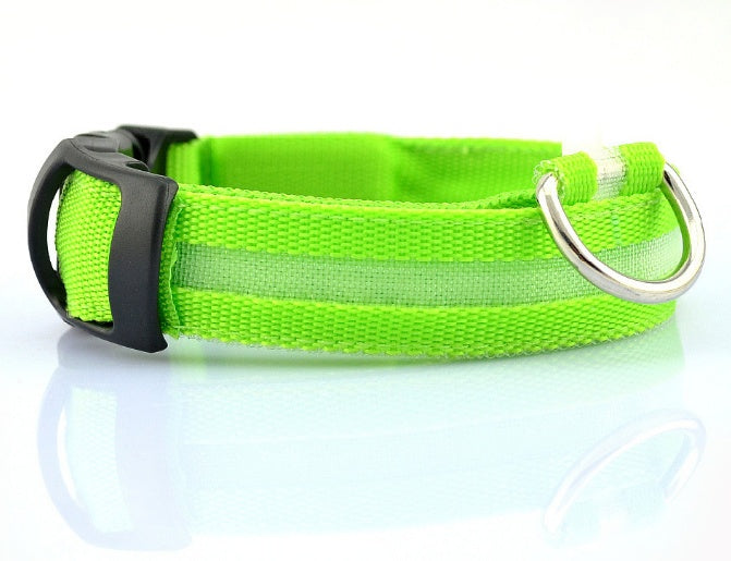 Safety LED Dog Collar