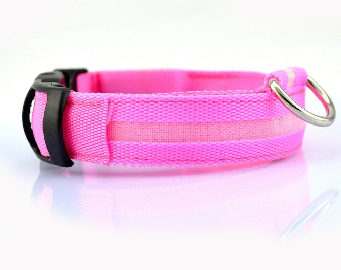 Safety LED Dog Collar