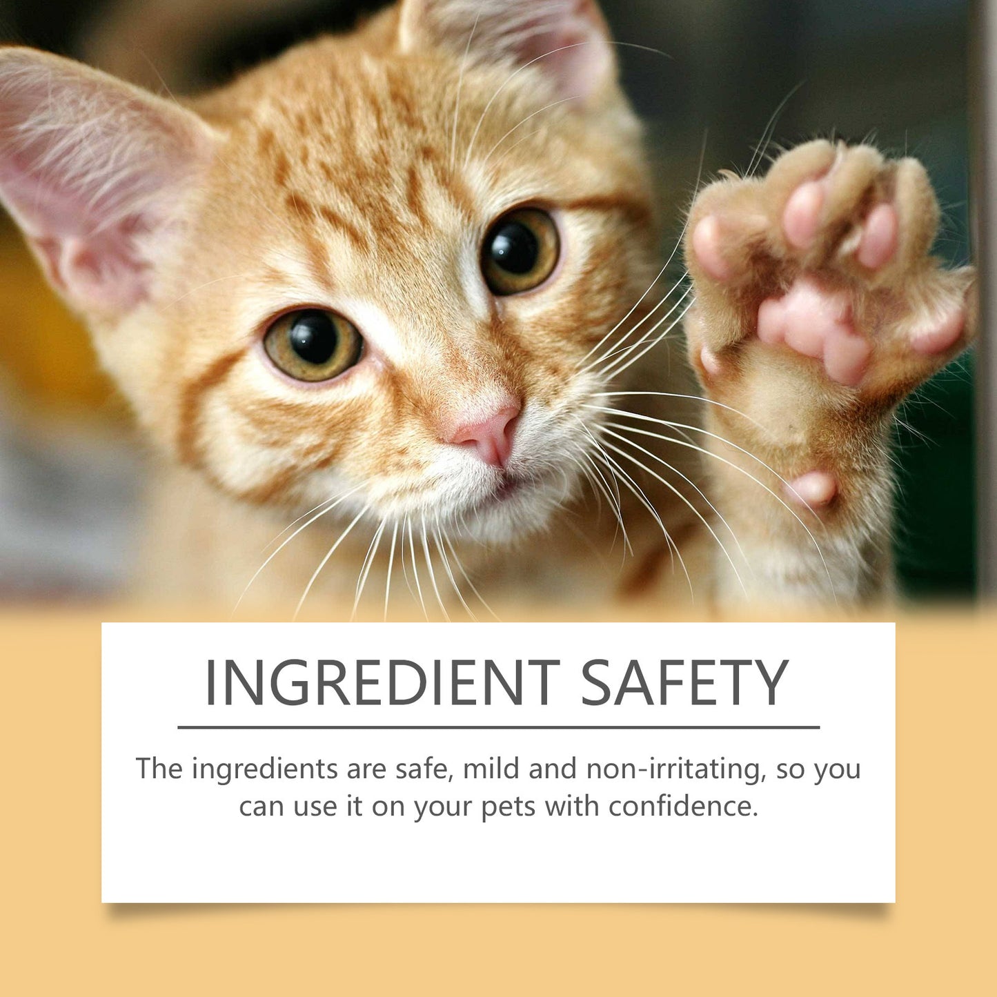 PawPure™ Balm - Real Relief, Zero Harshness, Just Happy Paws