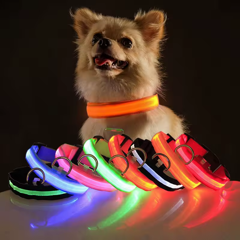 Safety LED Dog Collar