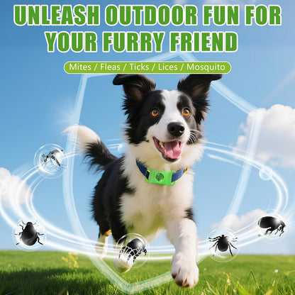 HerbaShield™ Flea & Tick Pendant - 12 Months Protection, Zero Harshness, Real Results